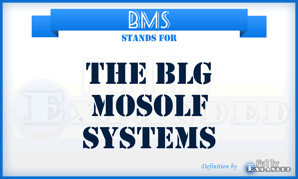 BMS - The Blg Mosolf Systems