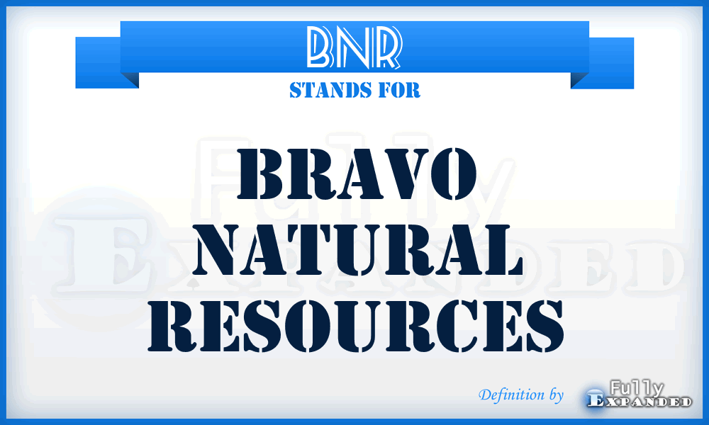 BNR - Bravo Natural Resources