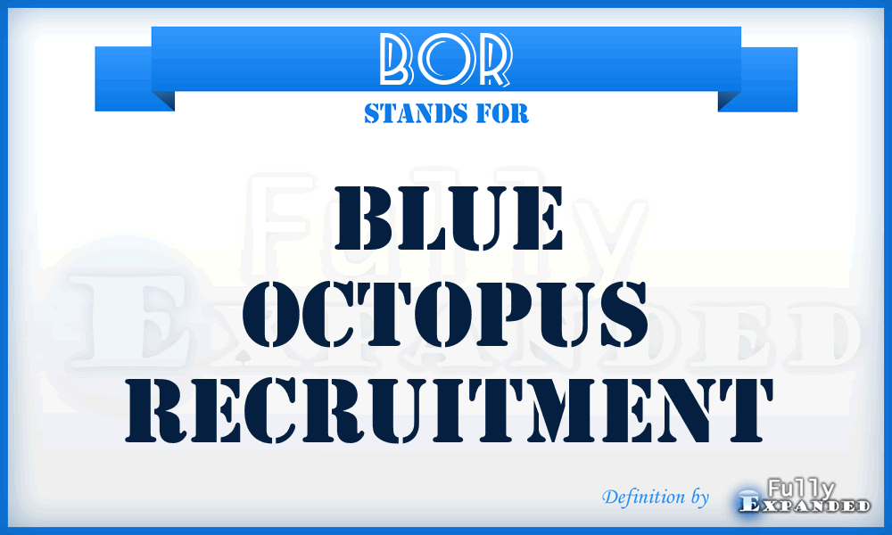 BOR - Blue Octopus Recruitment