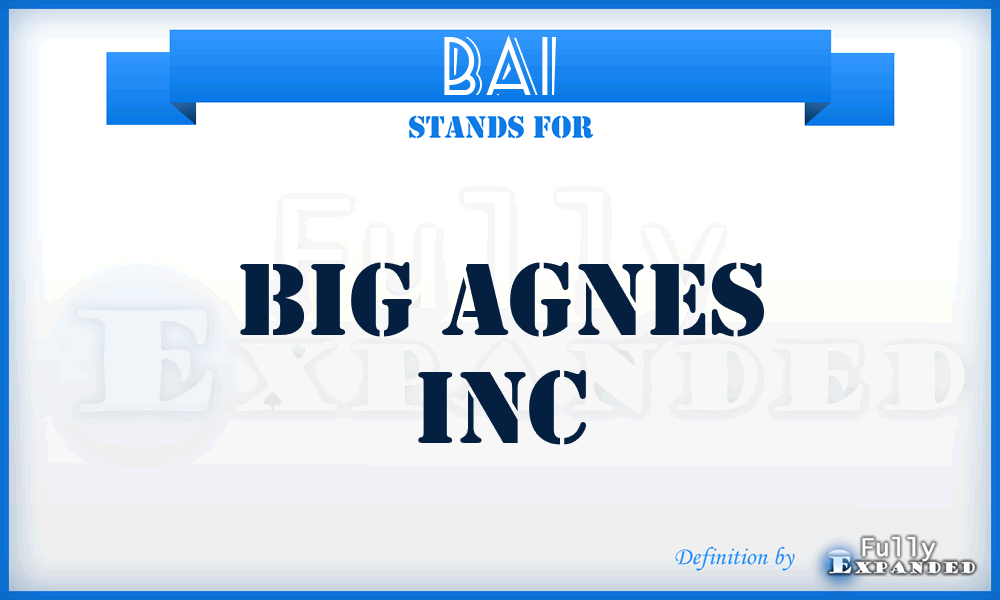 BAI - Big Agnes Inc