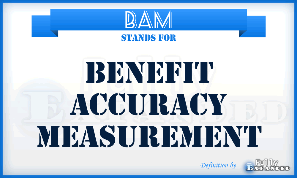 BAM - Benefit Accuracy Measurement