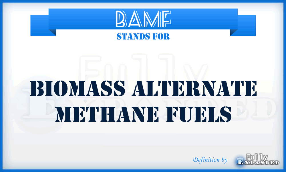 BAMF - Biomass Alternate Methane Fuels