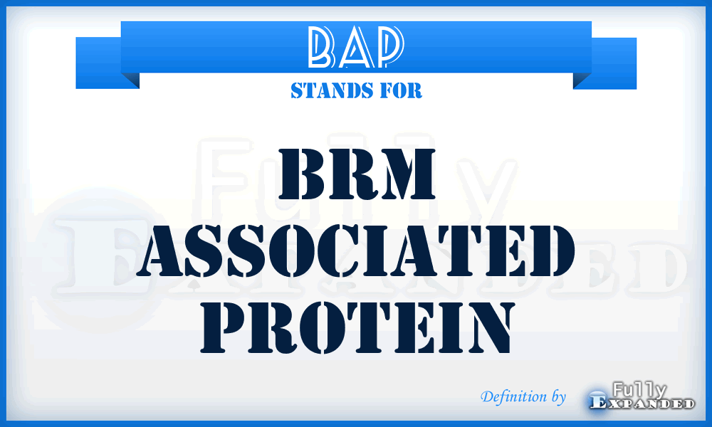 BAP - Brm Associated Protein