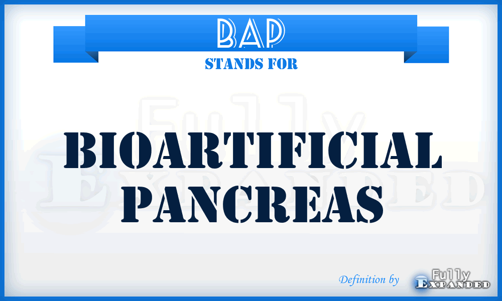 BAP - bioartificial pancreas