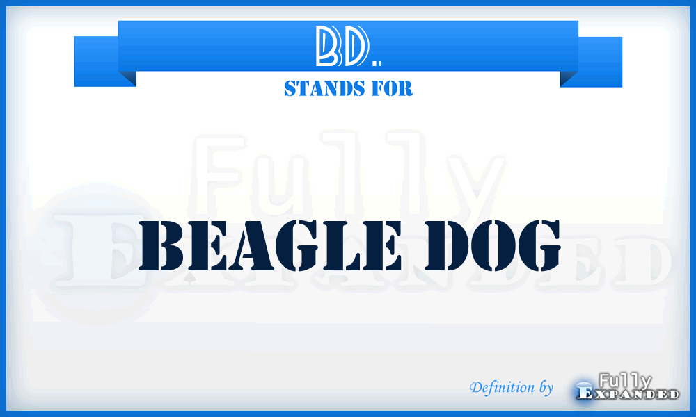 BD. - Beagle Dog
