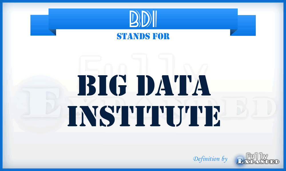 BDI - Big Data Institute