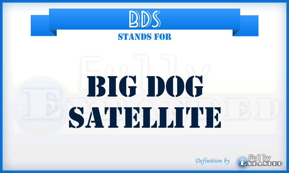 BDS - Big Dog Satellite