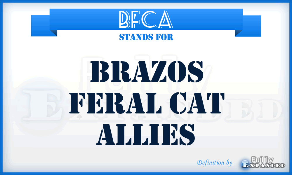 BFCA - Brazos Feral Cat Allies
