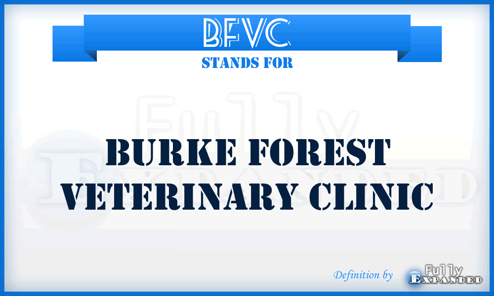 BFVC - Burke Forest Veterinary Clinic