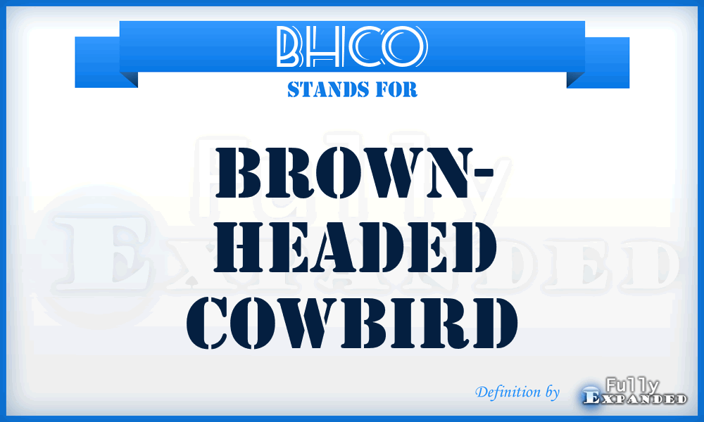 BHCO - Brown- Headed Cowbird
