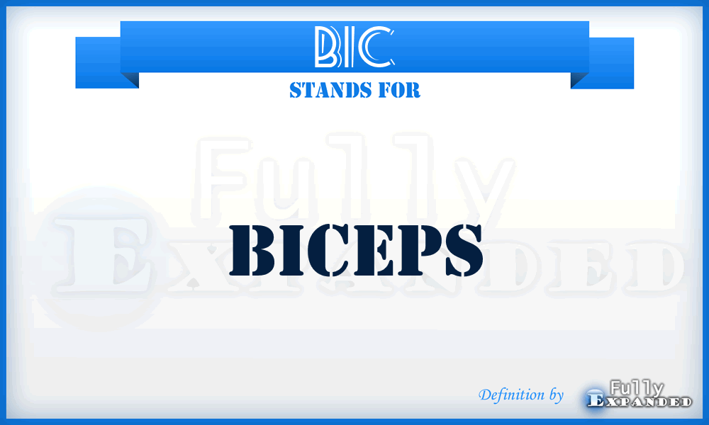 BIC - Biceps