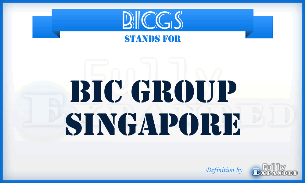 BICGS - BIC Group Singapore