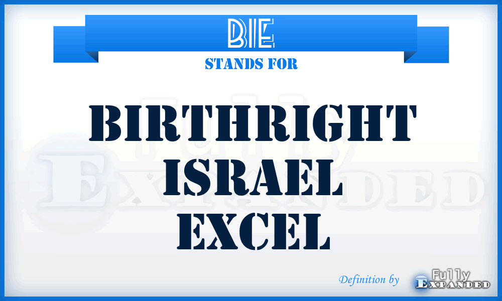 BIE - Birthright Israel Excel