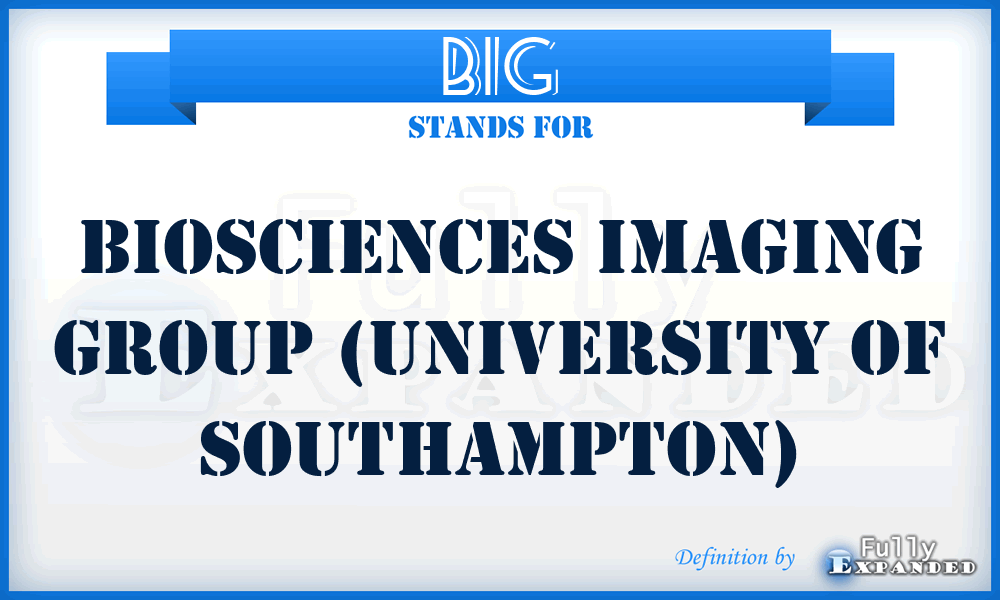 BIG - Biosciences Imaging Group (University of Southampton)