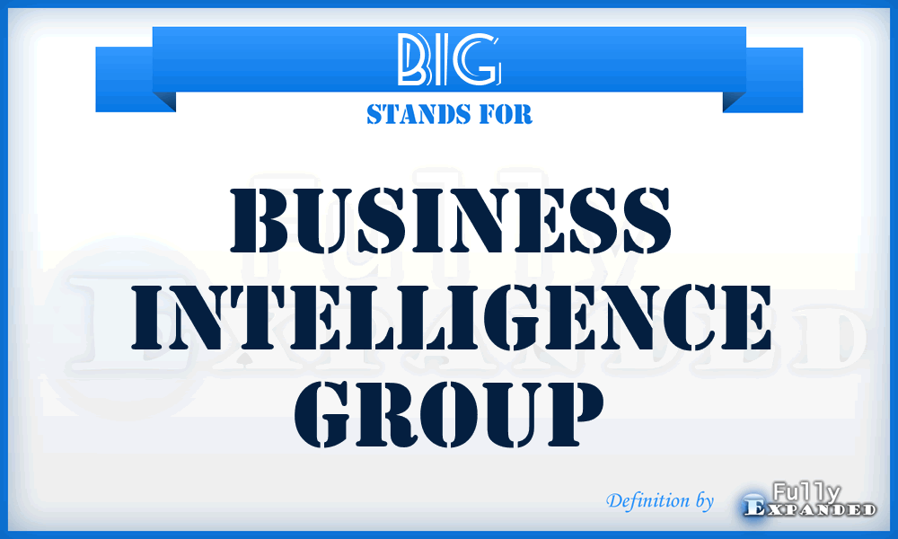 BIG - Business Intelligence Group