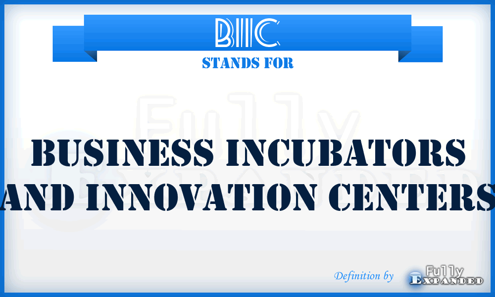 BIIC - Business Incubators and Innovation Centers
