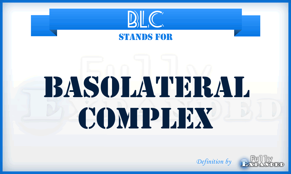 BLC - basolateral complex