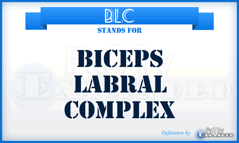 BLC - biceps labral complex