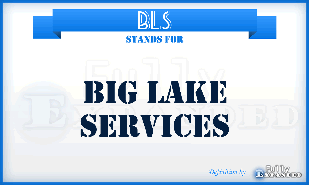 BLS - Big Lake Services