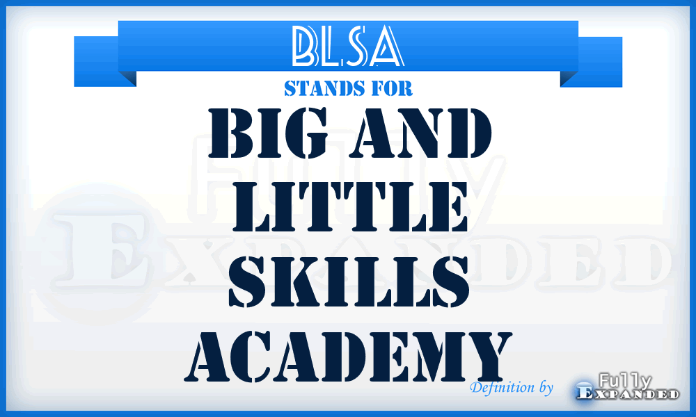 BLSA - Big and Little Skills Academy