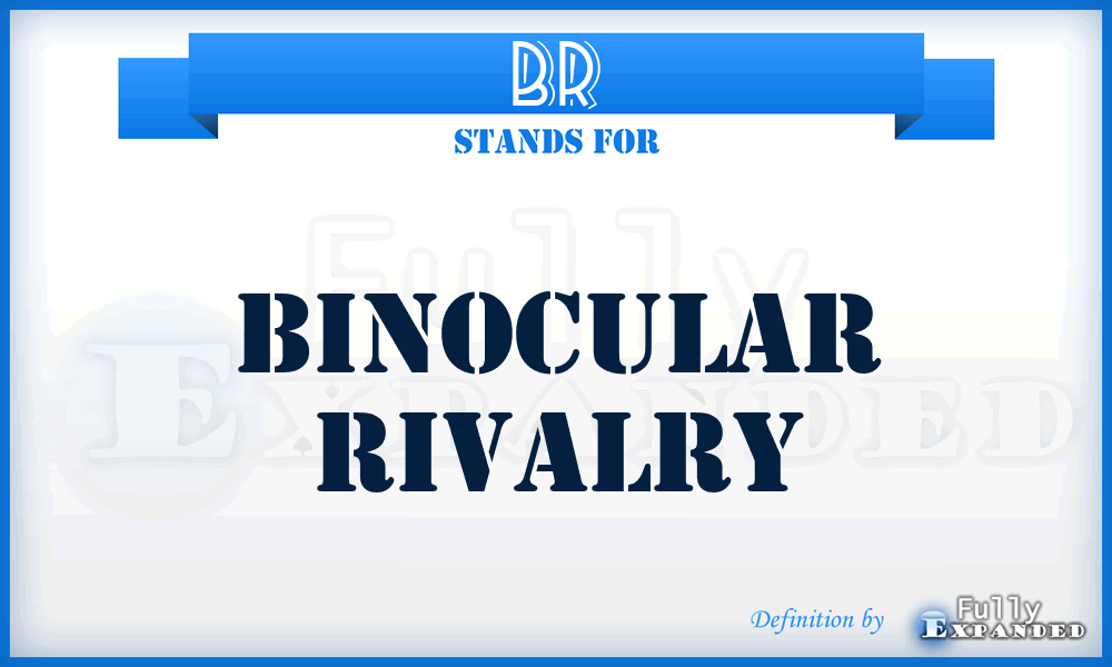 BR - binocular rivalry