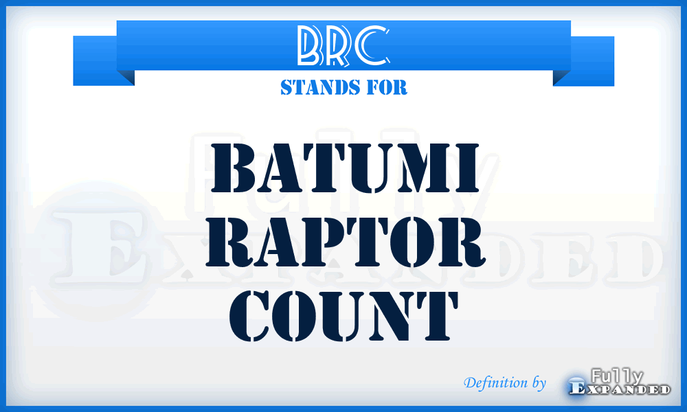 BRC - Batumi Raptor Count