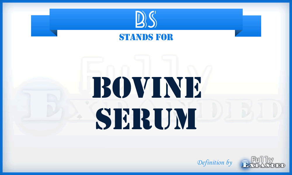 BS - bovine serum