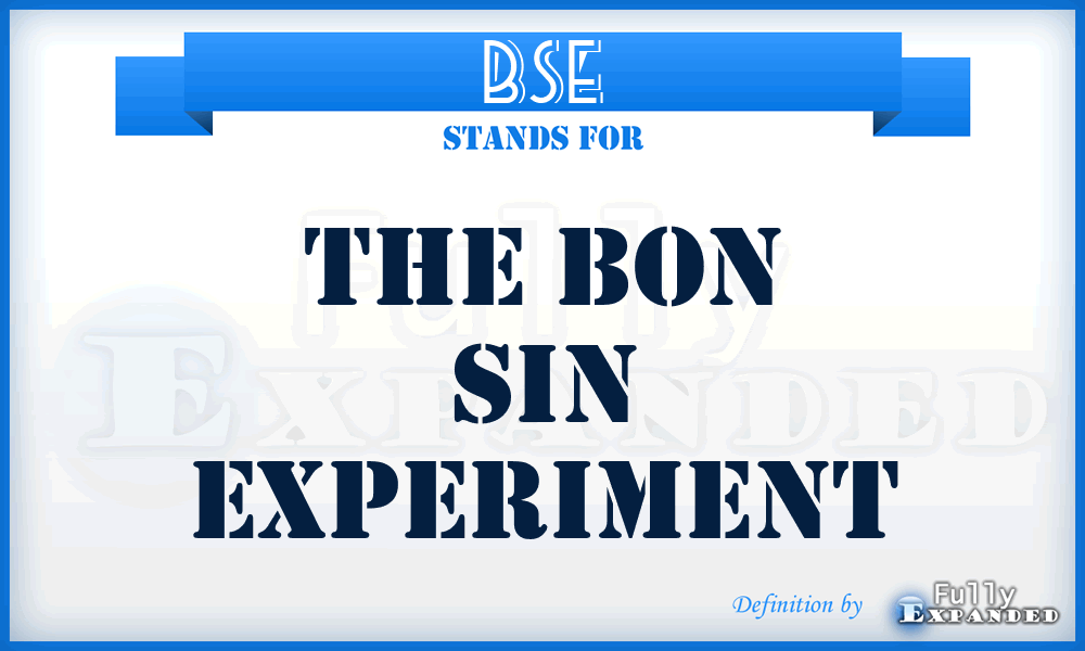 BSE - The Bon Sin Experiment