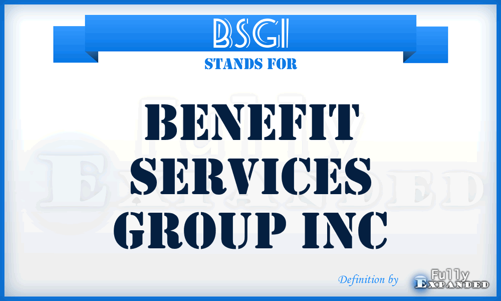 BSGI - Benefit Services Group Inc