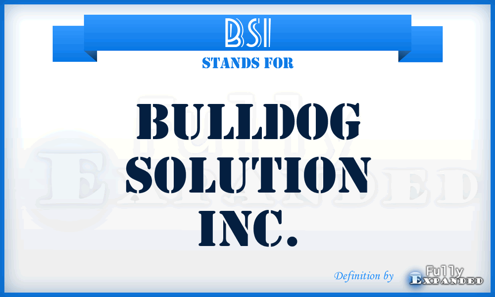 BSI - Bulldog Solution Inc.