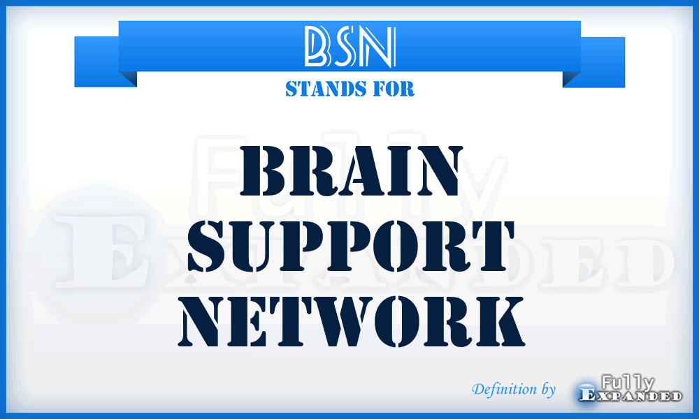 BSN - Brain Support Network