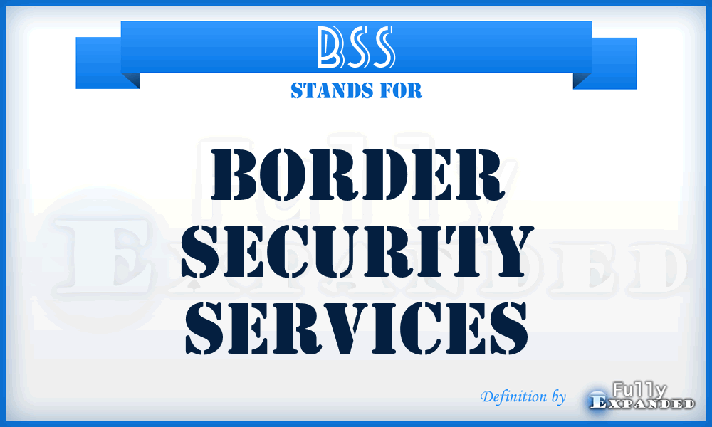 BSS - Border Security Services