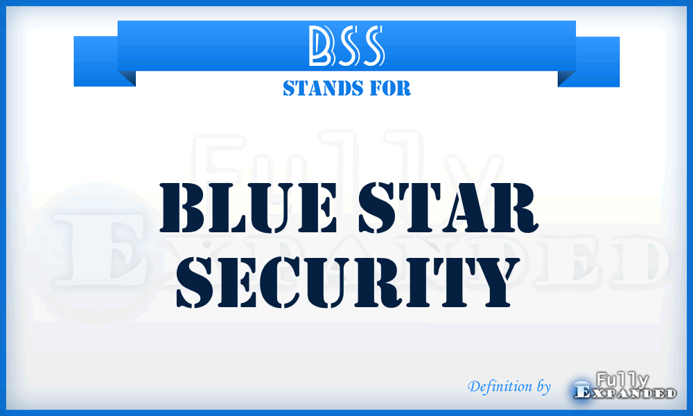 BSS - Blue Star Security