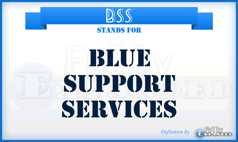 BSS - Blue Support Services