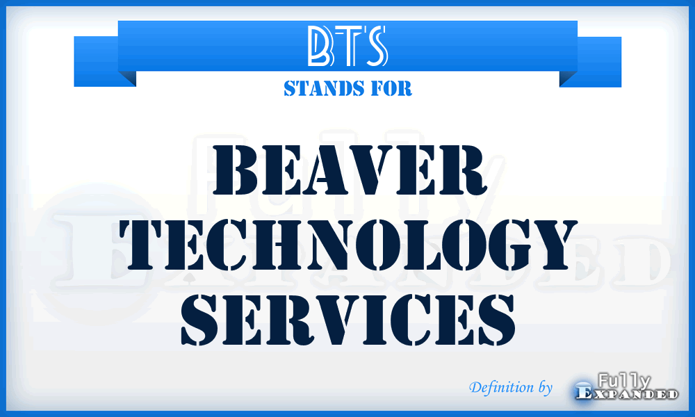 BTS - Beaver Technology Services