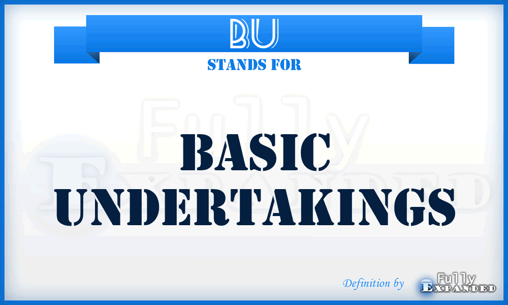 BU - Basic Undertakings