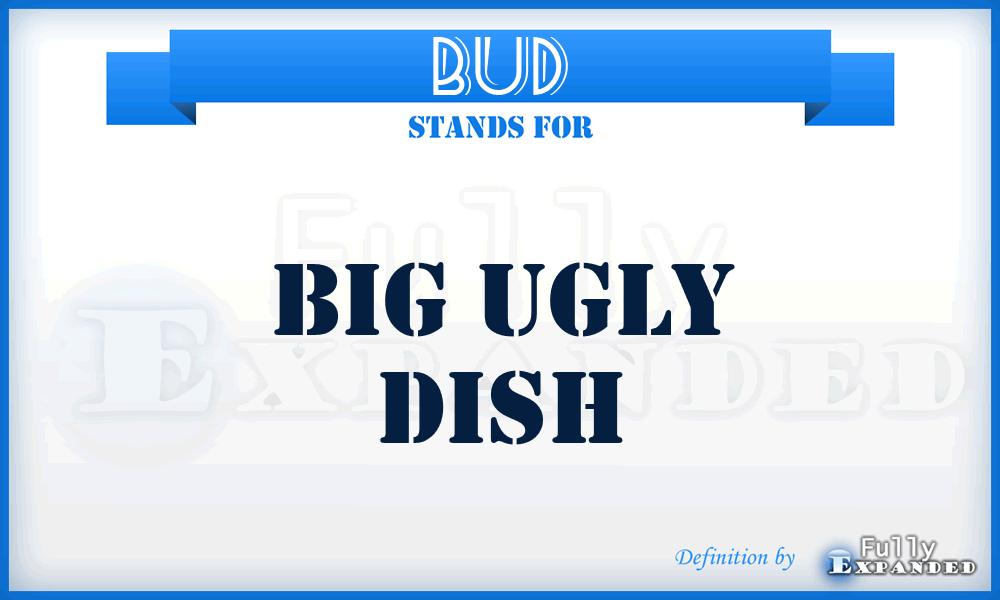 BUD - Big Ugly Dish