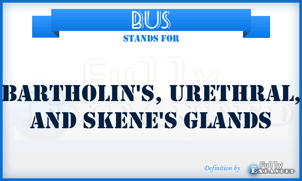 BUS - Bartholin's, Urethral, and Skene's Glands