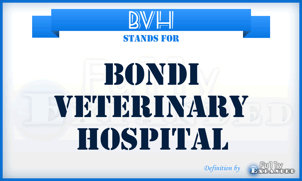 BVH - Bondi Veterinary Hospital