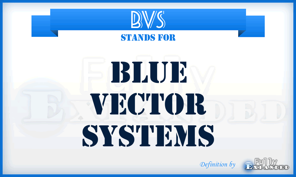 BVS - Blue Vector Systems