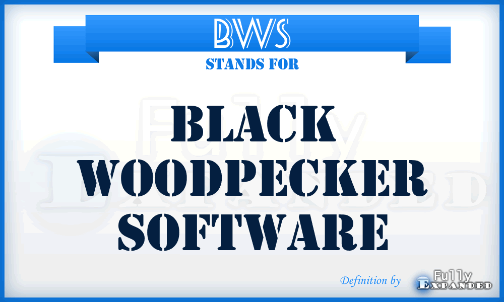BWS - Black Woodpecker Software