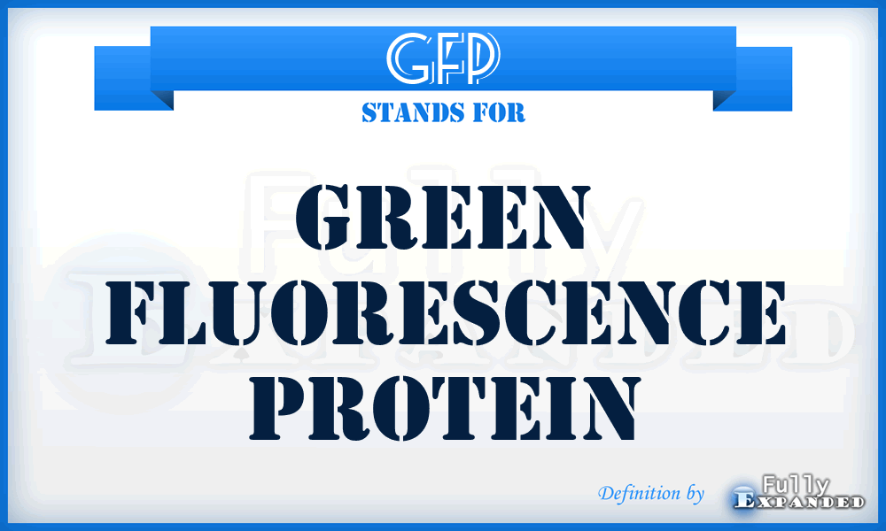 GFP - green fluorescence protein