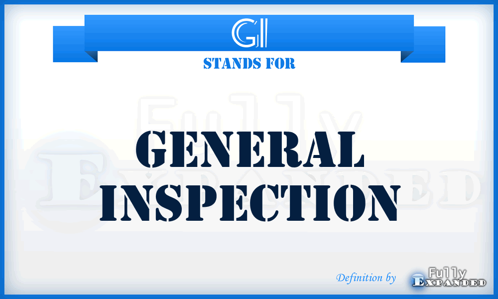 GI - General Inspection