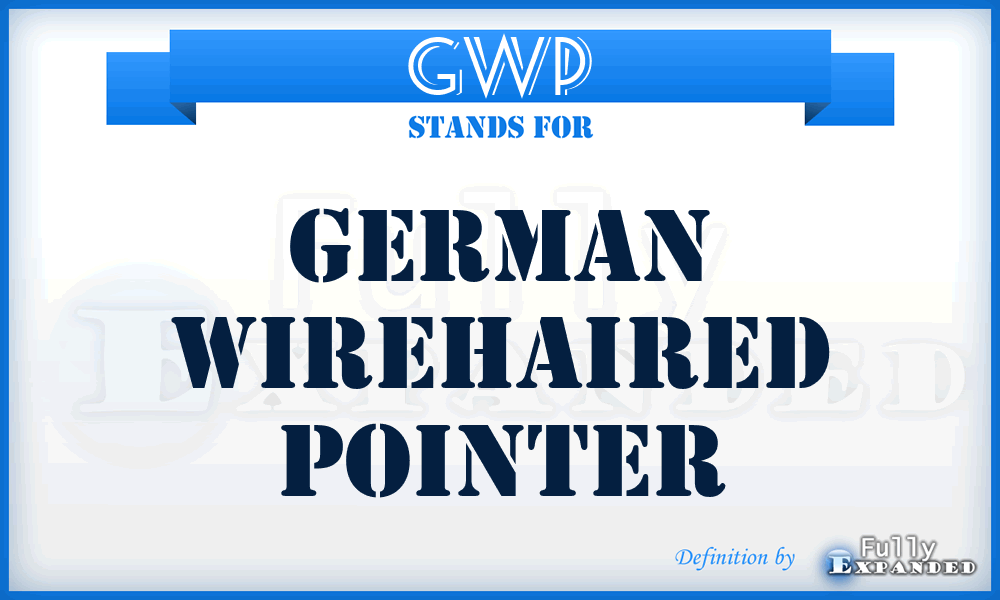 GWP - German Wirehaired Pointer