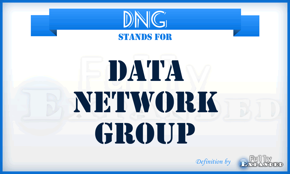 DNG - Data Network Group