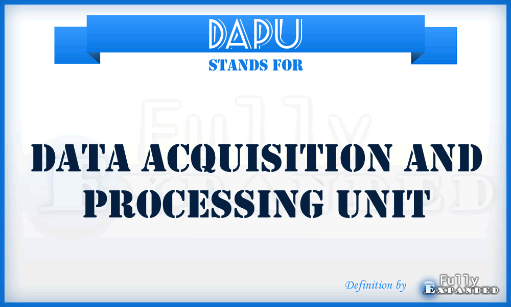 DAPU - data acquisition and processing unit