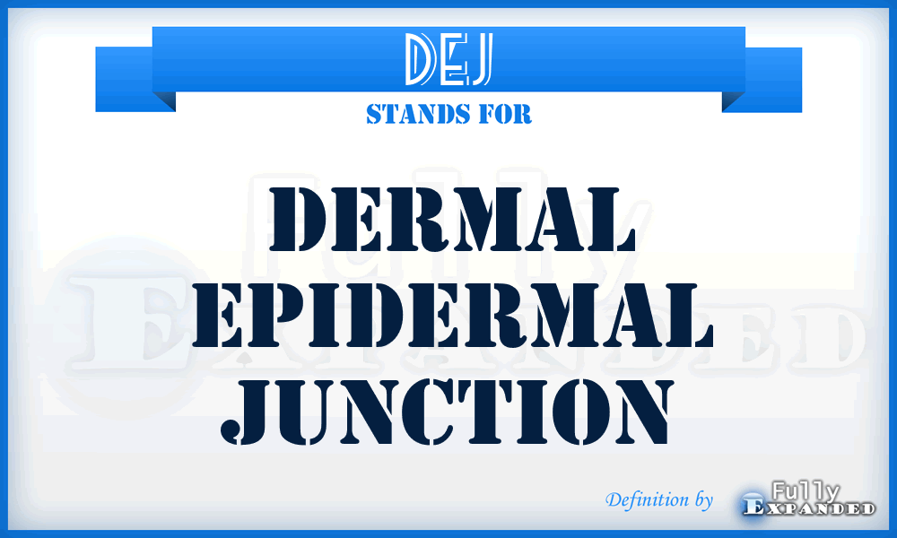 DEJ - Dermal Epidermal Junction