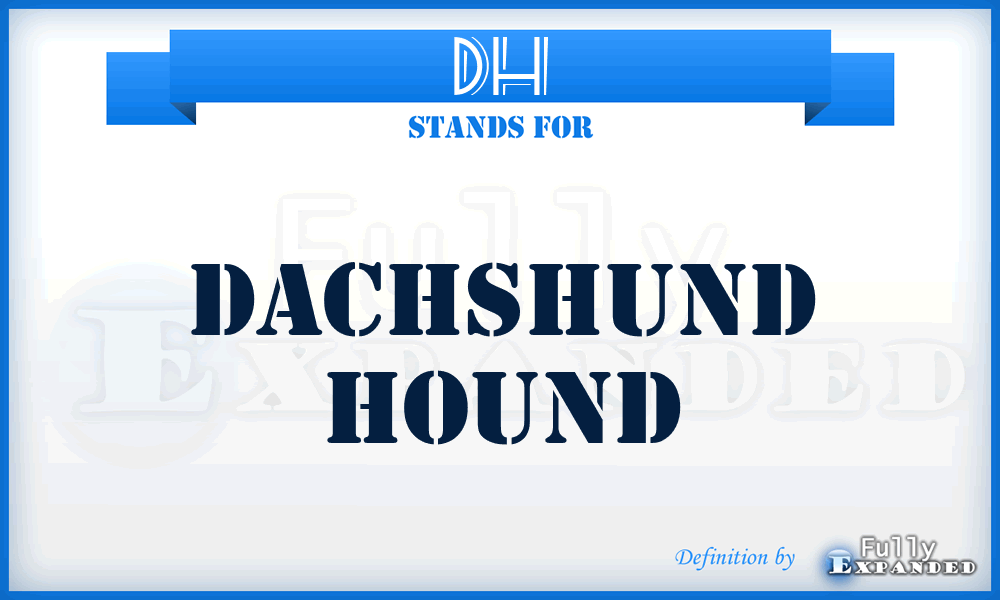 DH - Dachshund Hound
