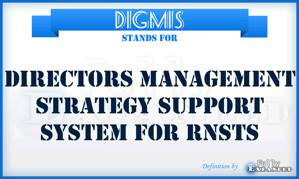DIGMIS - Directors Management Strategy Support System for RNSTS