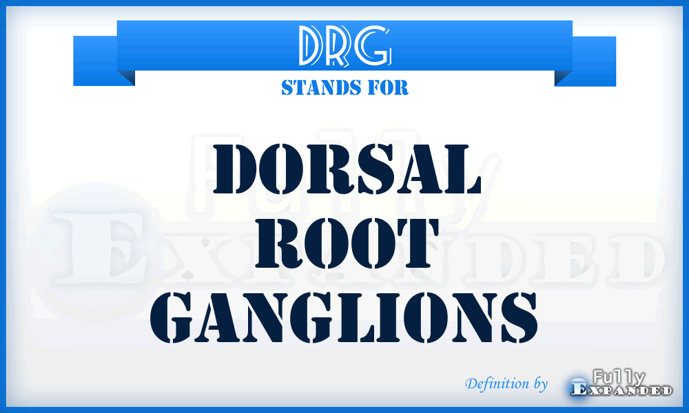 DRG - Dorsal Root Ganglions